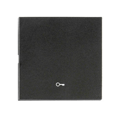Clapetă simbol cheie S55, negru
