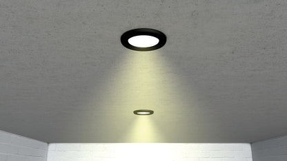Light-box XL 170 with tunnel