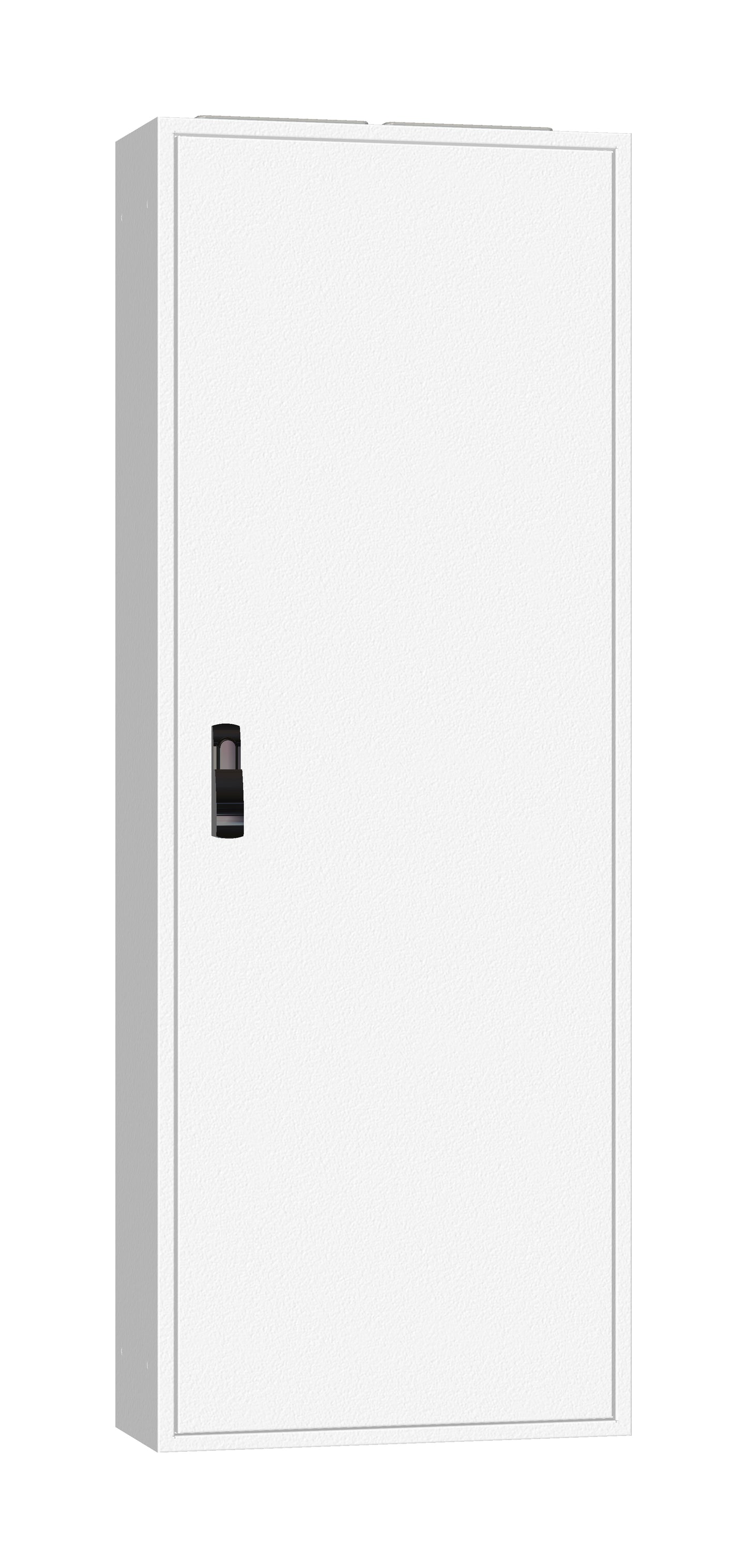 Ramă aplicată+uşă 2A-33, A=250mm+placă sp.+mâner rot. IP54