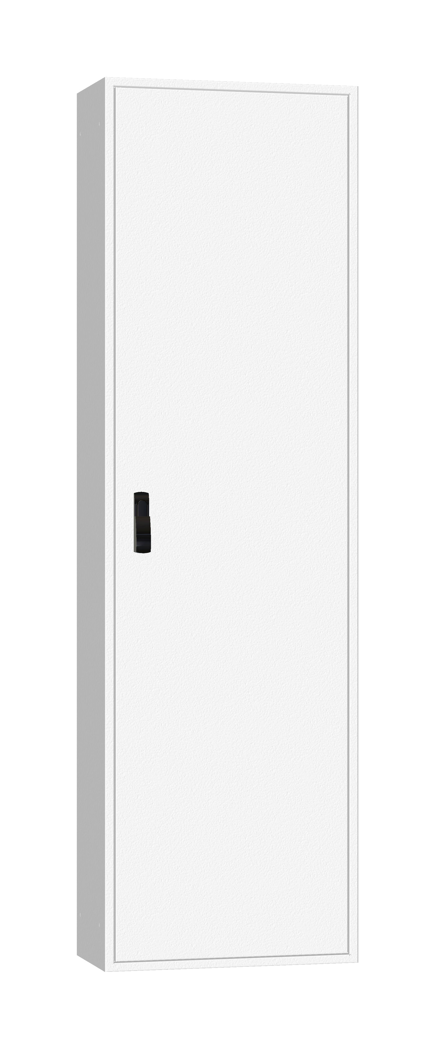 Ramă aplicată+uşă 2A-42, A=300mm+placă sp.+mâner rot. IP54