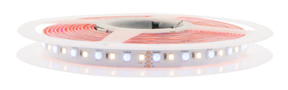 FS 115, RGB-WW, Ra=90+, 15W/m, 1120lm/m, 24VDC, IP44, l=5m