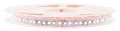 FS 80, RGB+WW, Ra90+, 20W/m, 24VDC, IP44, l=5m